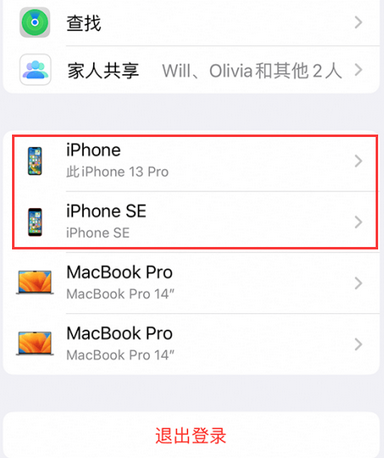 金水苹金水果维修网点分享iPhone如何查询序列号