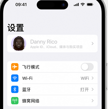 金水appleID维修服务iPhone设置中Apple ID显示为灰色无法使用 