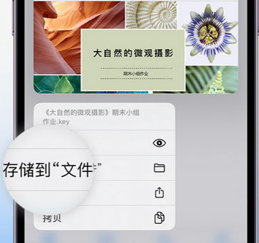 金水apple维修中心分享iPhone文件应用中存储和找到下载文件