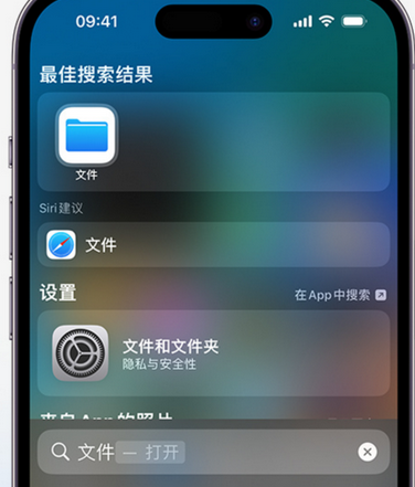 金水apple维修中心分享iPhone文件应用中存储和找到下载文件