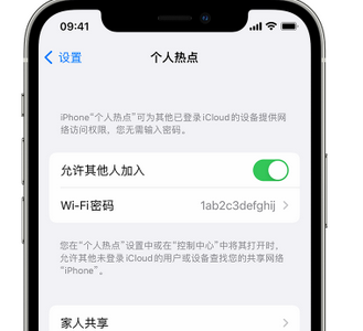 金水apple服务站点分享iPhone上个人热点丢失了怎么办 