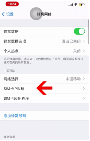 金水苹果14维修网分享如何给iPhone14的SIM卡设置密码 