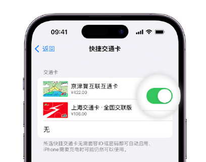 金水apple维修点分享iPhone上更换Apple Pay快捷交通卡手绘卡面 