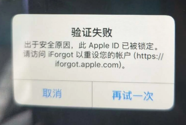 金水iPhone维修分享iPhone上正常登录或使用AppleID怎么办 