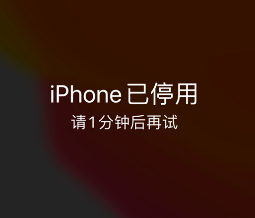 金水苹果手机维修分享:iPhone 显示“不可用”或“已停用”怎么办？还能保留数据吗？ 