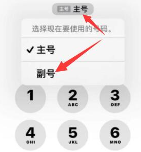 金水苹果14维修店分享iPhone 14 Pro Max使用副卡打电话的方法 