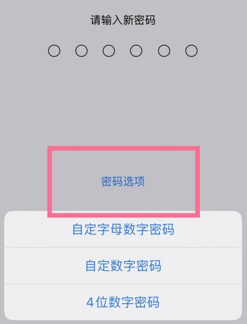 金水苹果14维修分享iPhone 14plus设置密码的方法 