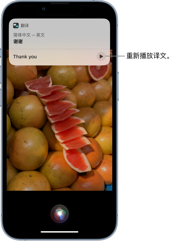 金水苹果14维修分享 iPhone 14 机型中使用 Siri：了解 Siri 能帮你做什么 