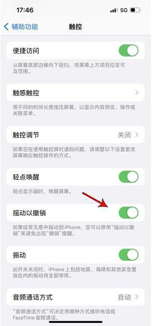 金水苹果手机维修分享iPhone手机如何设置摇一摇删除文字 