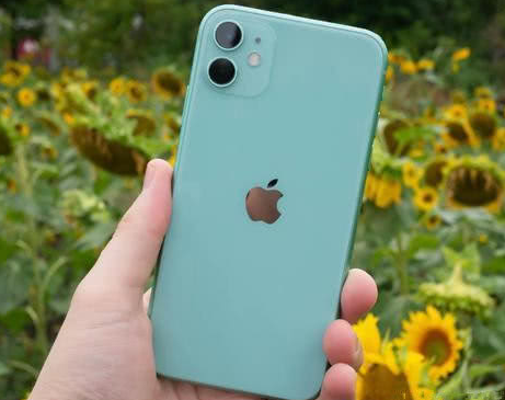 金水苹果维修点分享iPhone 11锁屏密码认知与使用科普 